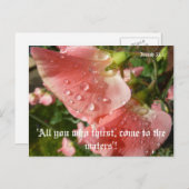 Sweet Peas Briefkaart (Voorkant / Achterkant)