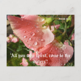 Sweet Peas Briefkaart