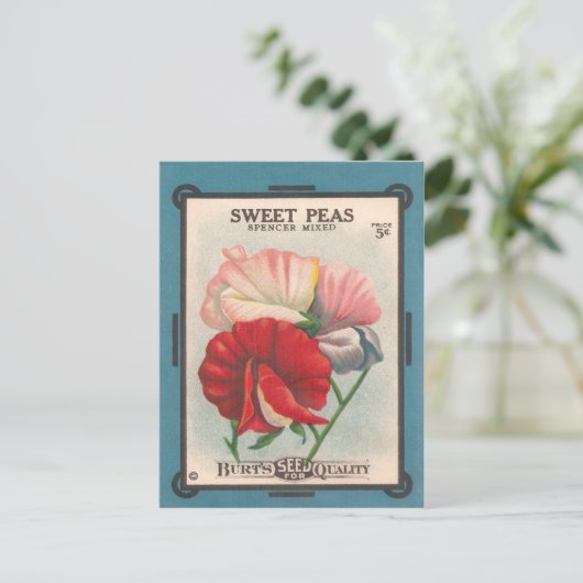Sweet Peas Briefkaart (Staand voorkant)