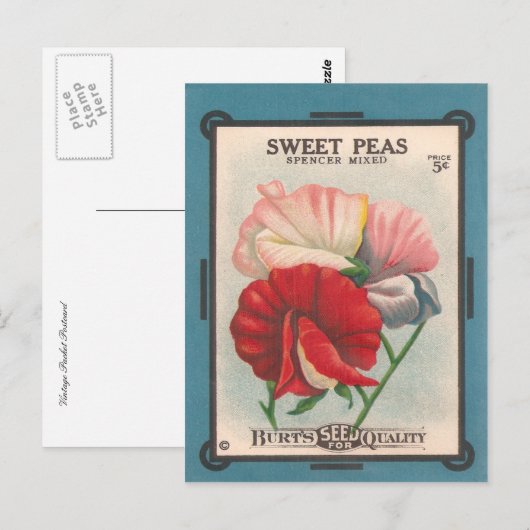 Sweet Peas Briefkaart (Voorkant / Achterkant)