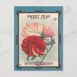 Sweet Peas Briefkaart