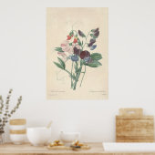 Sweet Peas Canvas Print (Keuken)