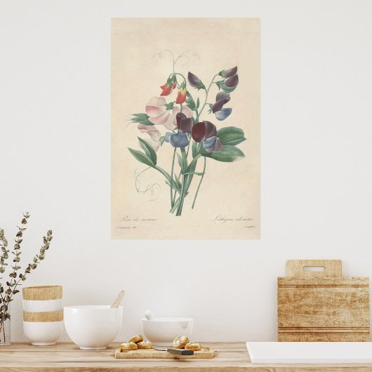 Sweet Peas Canvas Print (Keuken)