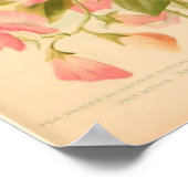 Sweet Peas Flowers Poster (Hoek)