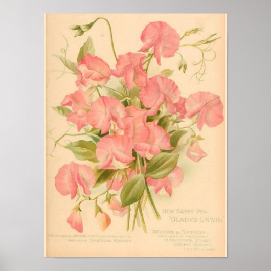 Sweet Peas Flowers Poster (Voorkant)