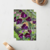 Sweet Peas Notitiekaartje (Voorkant / Achterkant in situ)