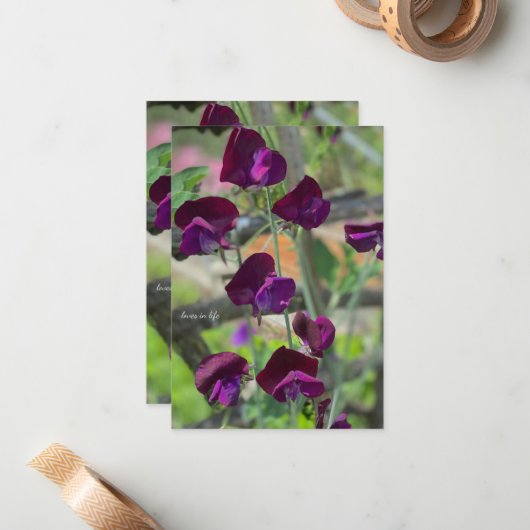 Sweet Peas Notitiekaartje (Voorkant / Achterkant in situ)