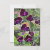 Sweet Peas Notitiekaartje (Achterkant)