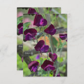 Sweet Peas Notitiekaartje (Voorkant / Achterkant)