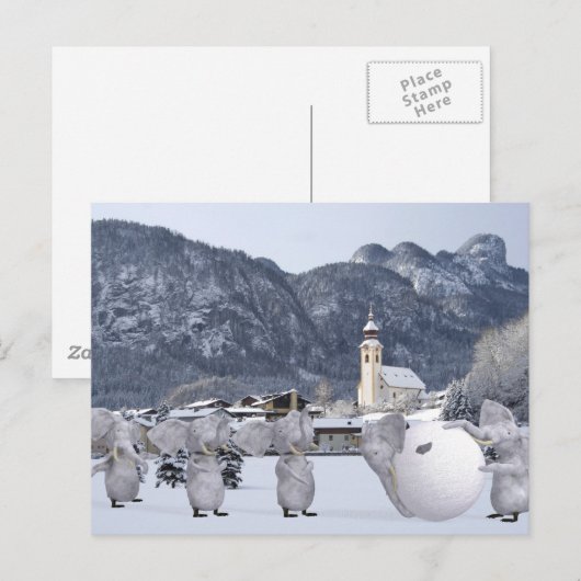 Sweet Pengphants Briefkaart (Voorkant / Achterkant)