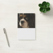 Sweet Pet Dog Groomer Veterinarian Cute Business Post-it® Notes (Kantoor)