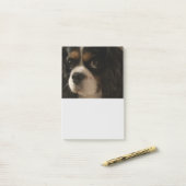 Sweet Pet Dog Groomer Veterinarian Cute Business Post-it® Notes (Op bureau)