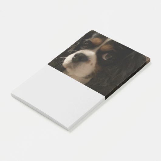 Sweet Pet Dog Groomer Veterinarian Cute Business Post-it® Notes (Schuin)