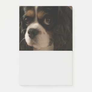 Sweet Pet Dog Groomer Veterinarian Cute Business Post-it® Notes