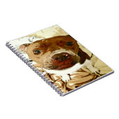 Sweet Pibble Face Notitieboek (Rechterzijde)