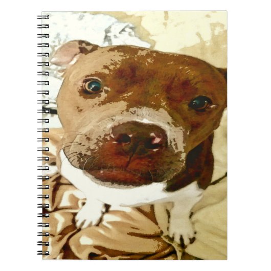Sweet Pibble Face Notitieboek (Voorkant)