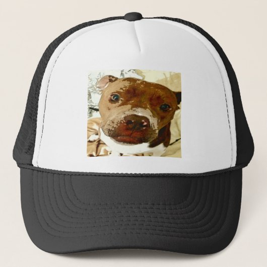 Sweet Pibble Face Trucker Pet (Voorkant)