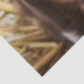 Sweet Piglet Tissuepapier (Detail)