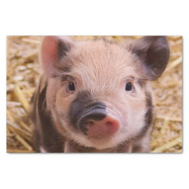 Sweet Piglet Tissuepapier