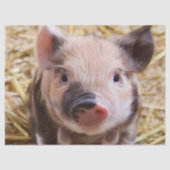 Sweet Piglet Tissuepapier (Voorkant)