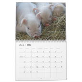 Sweet Piglets 2018 - Baby Pigs Wall Calendar Kalender (Mar 2026)