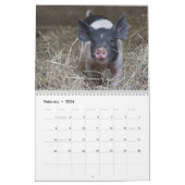 Sweet Piglets 2018 - Baby Pigs Wall Calendar Kalender (Feb 2026)