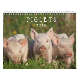 Sweet Piglets 2018 - Baby Pigs Wall Calendar Kalender