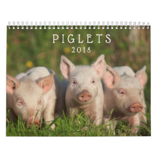 Sweet Piglets 2018 - Baby Pigs Wall Calendar Kalender