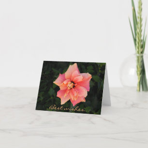 Sweet Pink Hibiscus Flower - aangepaste tekst Kaart