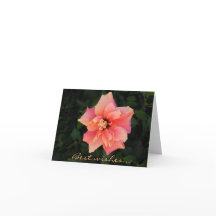 Sweet Pink Hibiscus Flower Custom Text