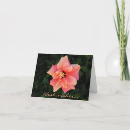Sweet Pink Hibiscus Flower Custom Text Kaart