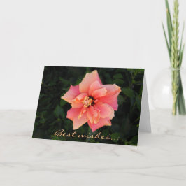Sweet Pink Hibiscus Flower Custom Text Kaart