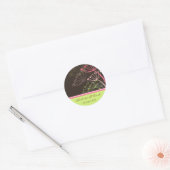 Sweet Pink & Mint paardenbloemen bruiloft gunst St Ronde Sticker (Envelop)