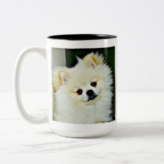 Sweet Pomeranian Tweekleurige Koffiemok