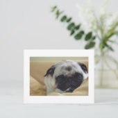 Sweet Pug Briefkaart (Staand voorkant)