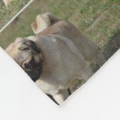 Sweet Pug Dog Fleece Deken (Hoek)