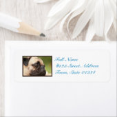 Sweet Pug Etiket (Insitu)