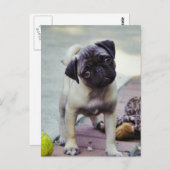 Sweet Pug Puppy "Puppy Love" Briefkaart (Voorkant / Achterkant)