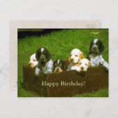 Sweet puppies briefkaart (Voorkant / Achterkant)