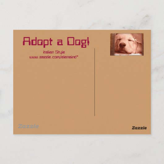 Sweet Puppy - Adopteer een Briefkaart (Achterkant)