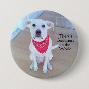 Sweet Puppy Dog Face Goodness in de Button van de