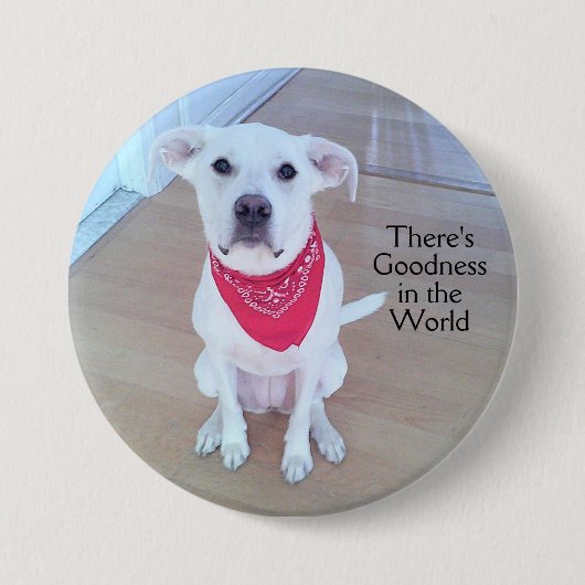 Sweet Puppy Dog Face Goodness in de Button van de (Voorkant)