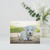Sweet Puppy met jouw tekst Briefkaart (Staand voorkant)