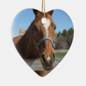 Sweet Quarter Horse Ornament (Rechts)