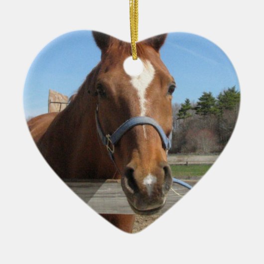 Sweet Quarter Horse Ornament (Voorkant)