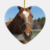 Sweet Quarter Horse Ornament (Achterkant)