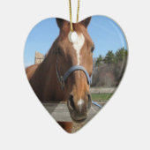 Sweet Quarter Horse Ornament (Links)