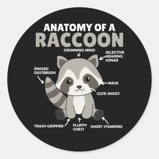 Sweet Raccoon-anatomie van een raket Ronde Sticker (Voorkant)