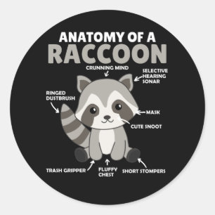 Sweet Raccoon-anatomie van een raket Ronde Sticker