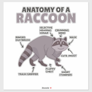 Sweet Raccoon-anatomie van een raket Sticker